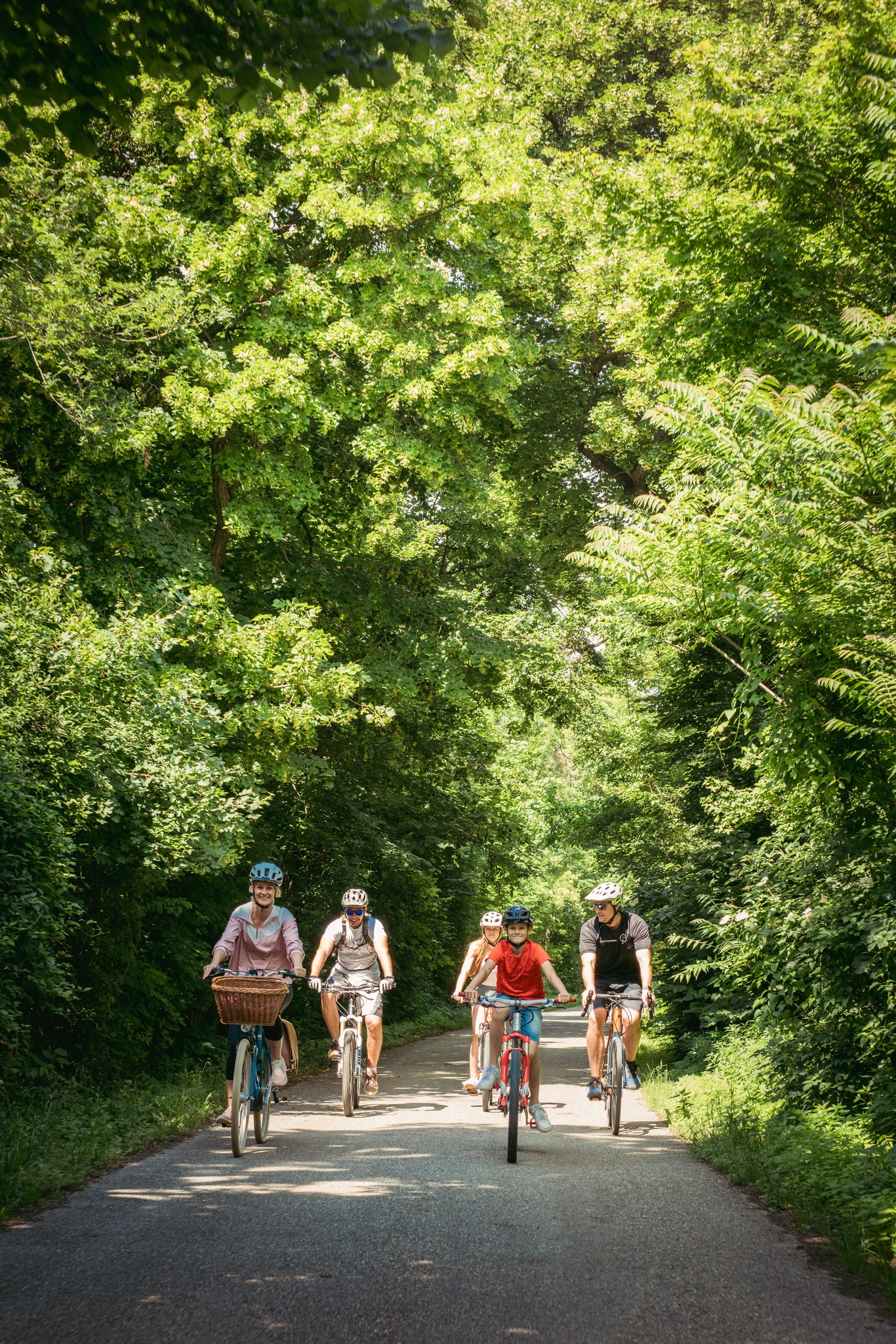 Radfahren Niederweiden (c) Schlösserreich/Kniff Radfahren Schloss Niederweiden